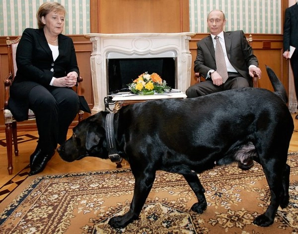 Putin se ispričao Angeli Merkel zbog susreta 2007. godine: 'Nisam znao...'